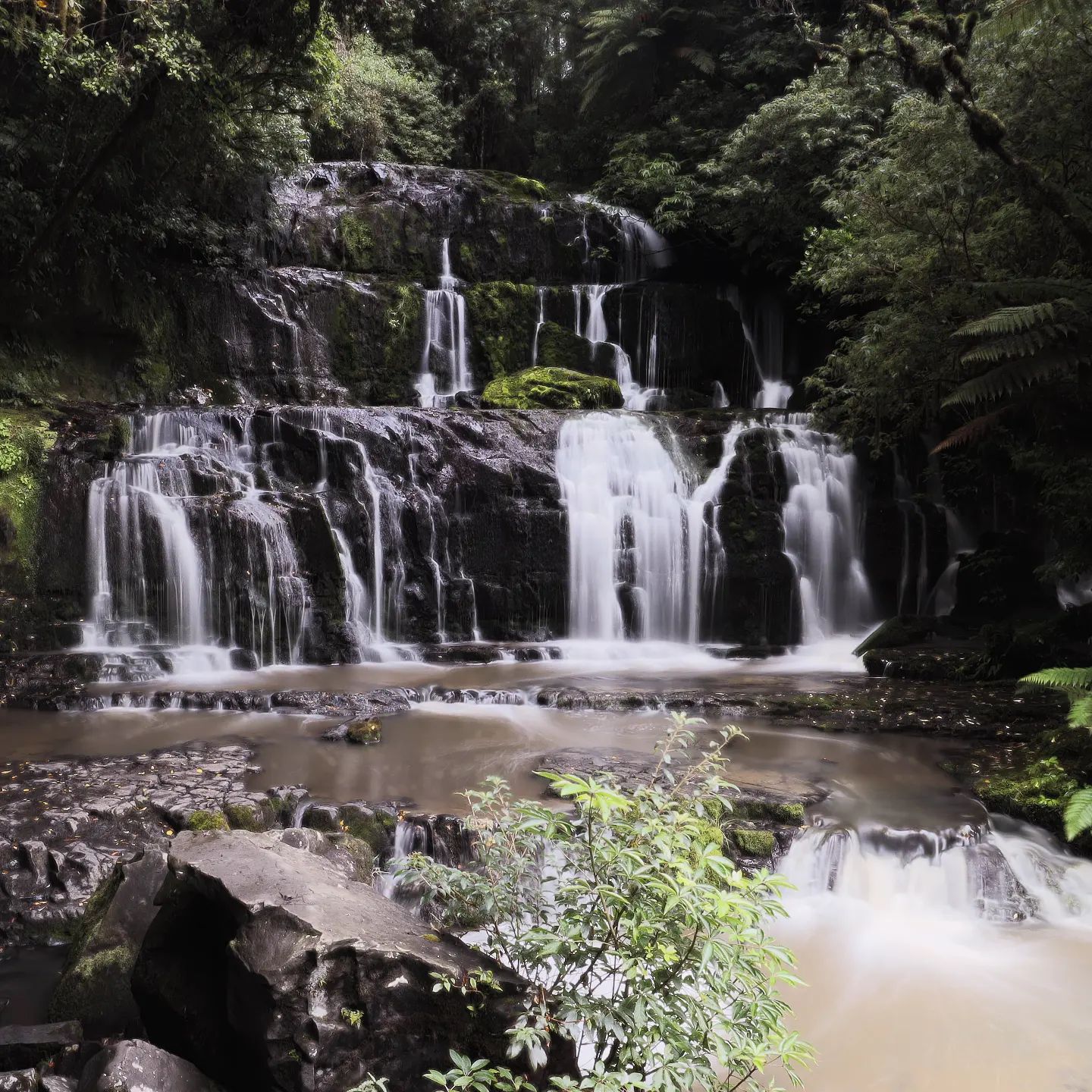 Purakaunui Falls
(shot with Canon M6 mkii at 15sec)