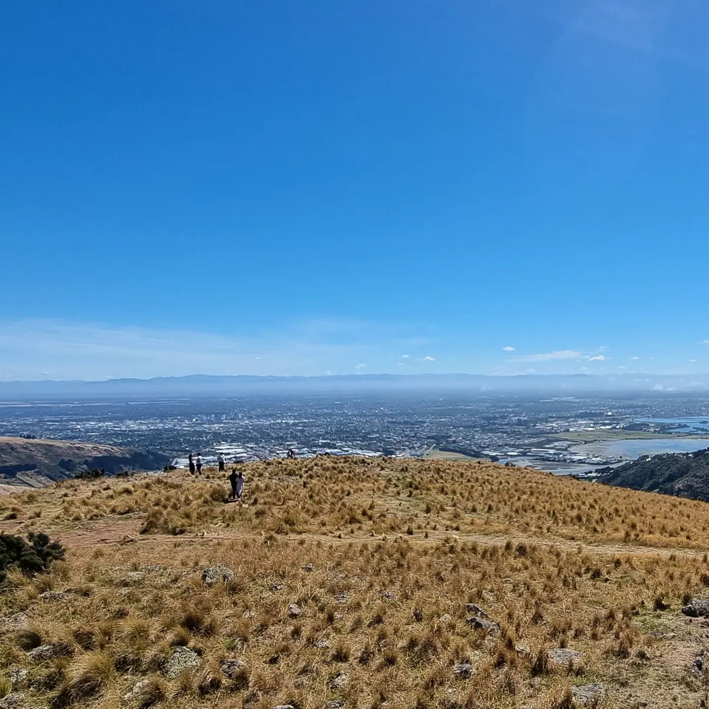 Christchurch from the gondola